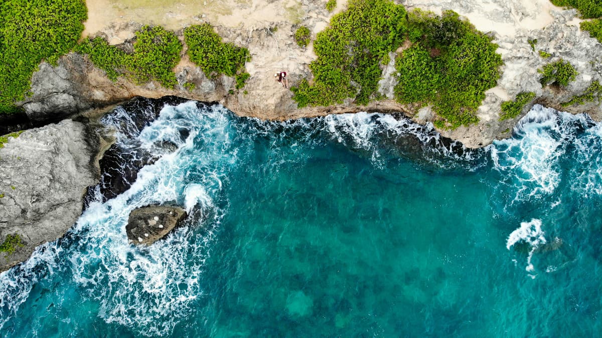 Hawaiian Landscape